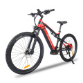Vente chaude Electric Mountain Bicycle